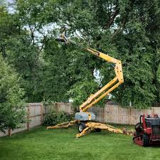 Artificial Turf Installation in Owensboro, KY