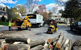 Best Arborist Consultation Services  in Owensboro, KY