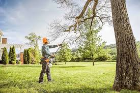 Lawn Watering Services in Owensboro, KY