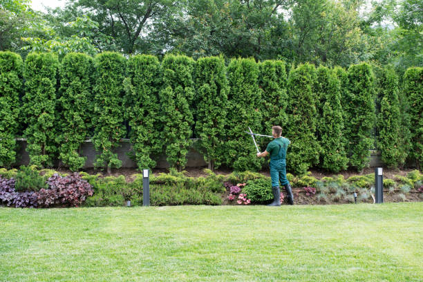 Best Tree Health Inspection  in Owensboro, KY
