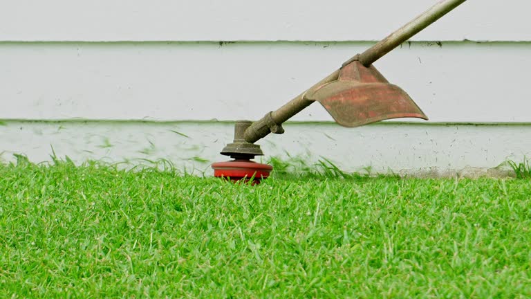 Best Tree and Shrub Care  in Owensboro, KY