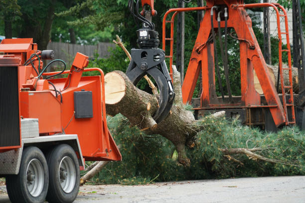 Best Weed Control  in Owensboro, KY